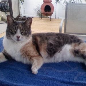 Meet your Posher, Evette